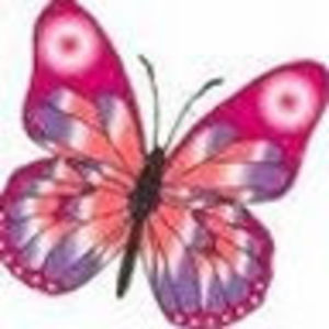 Meet your Posher, Viv